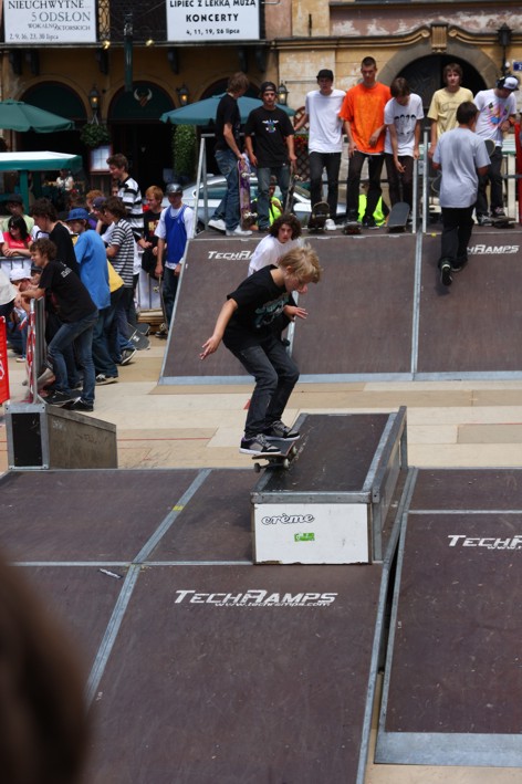 Es game - skatepark Techramps 7