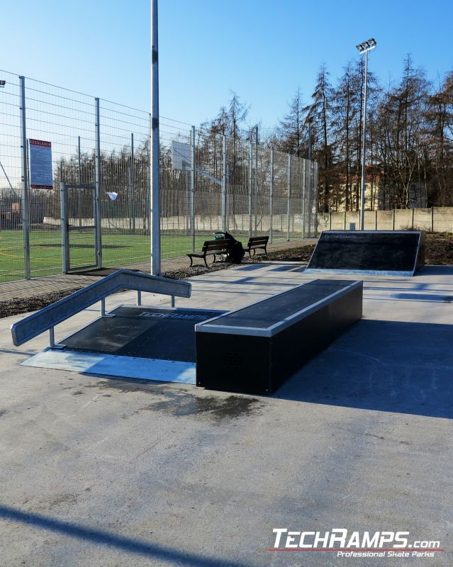 Skatepark Szamotuly and funbox