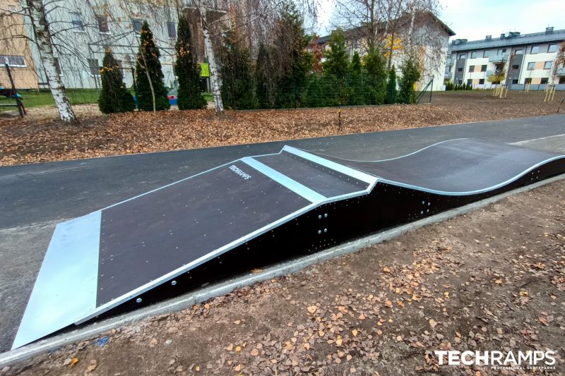 Skatepark Pruszcz Gdanski