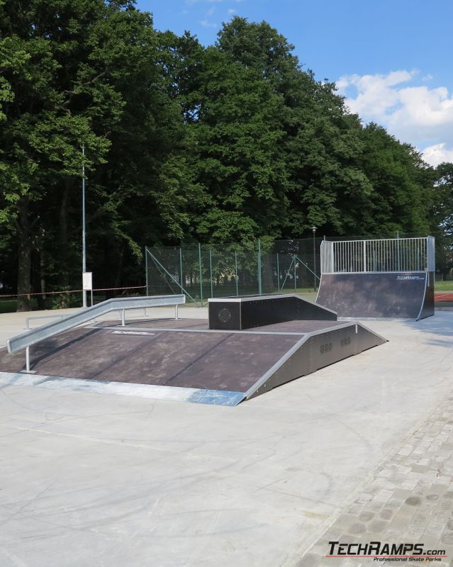 Rymanów - drewniany skatepark