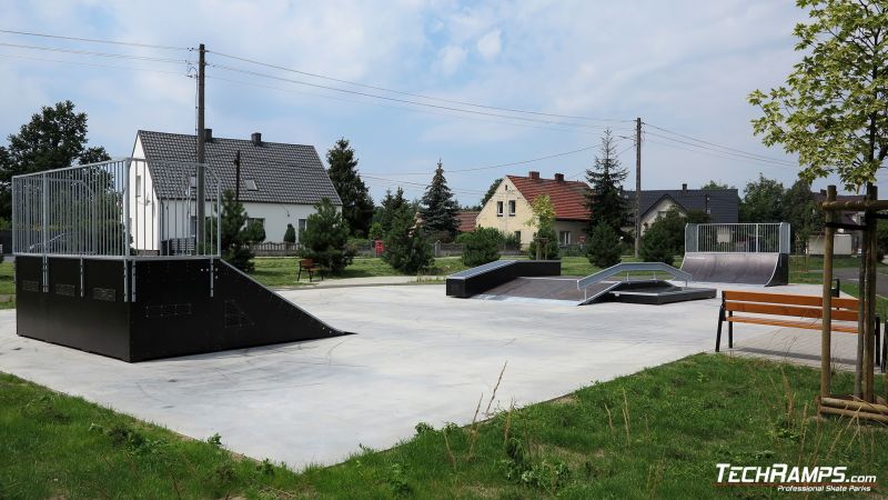 скейтпарк techramps